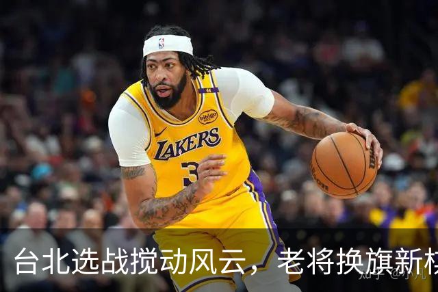 台北选战搅动风云，老将换旗新棋暗藏玄机