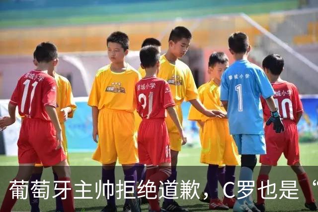葡萄牙主帅拒绝道歉，C罗也是“平等规则”的一份子！